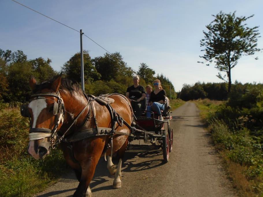 Le Grais Gite : La Cochetiere : Ancienne Ferme 18Emeヴィラ エクステリア 写真